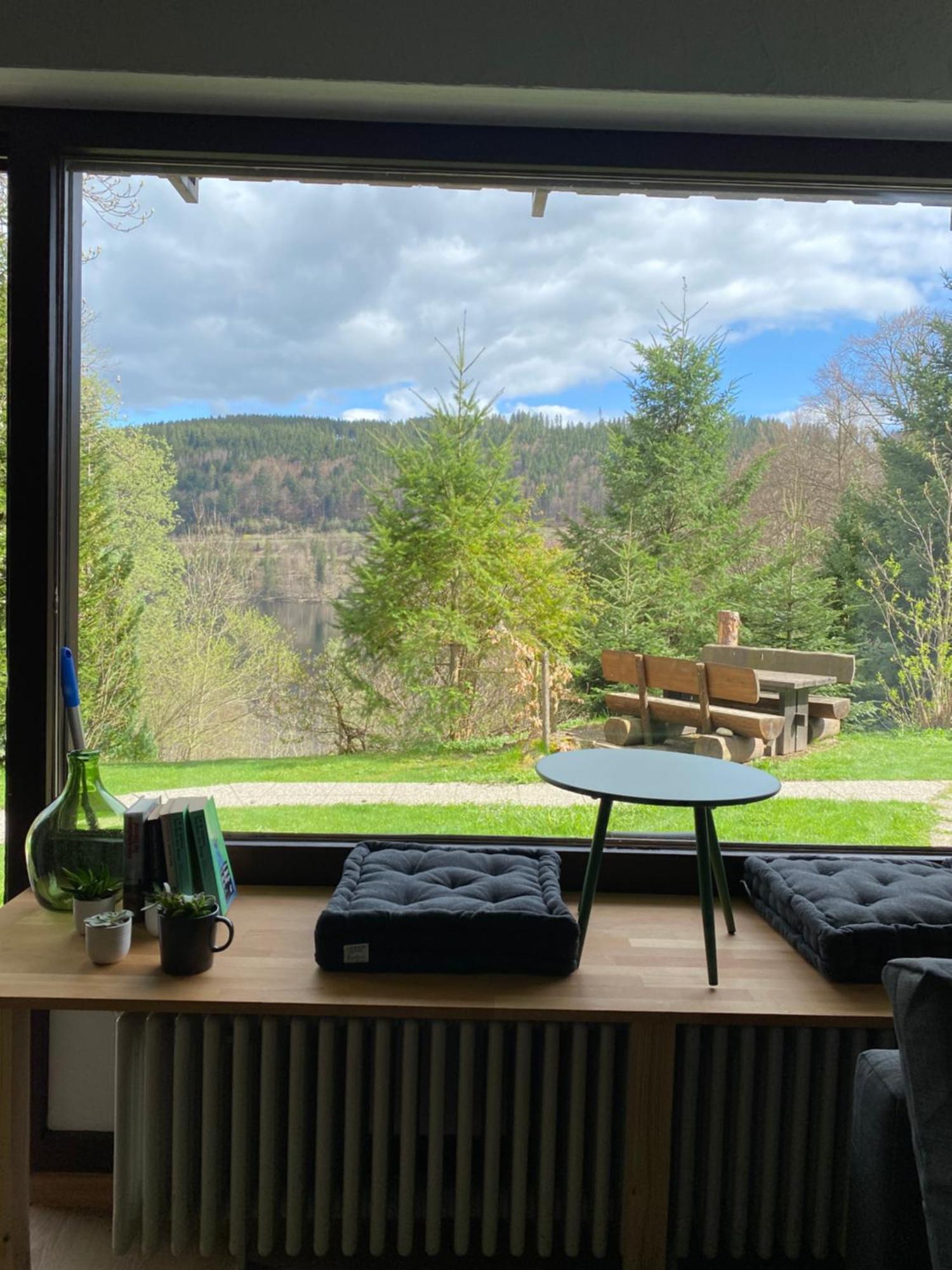 Black Forest Apartments Titisee ภายนอก รูปภาพ